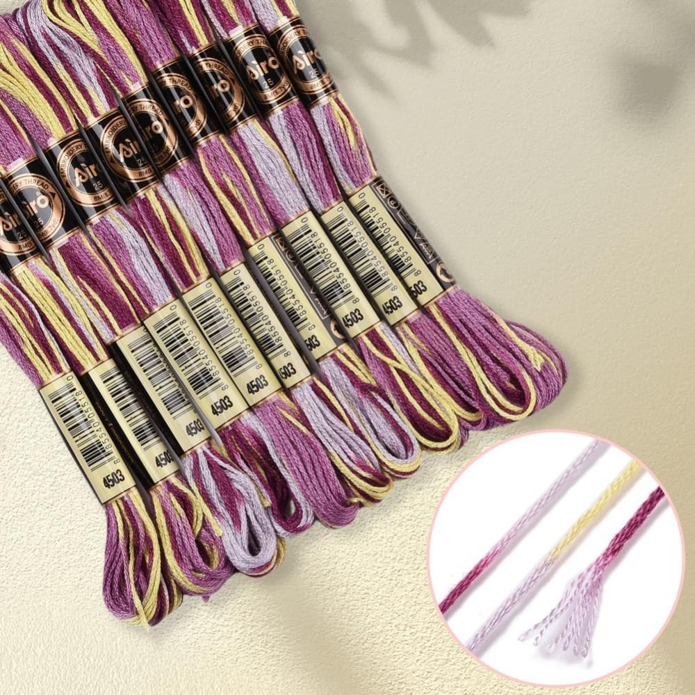 6 Strands Purple Variegated Em - đánh giá và giá Embroidery Kit